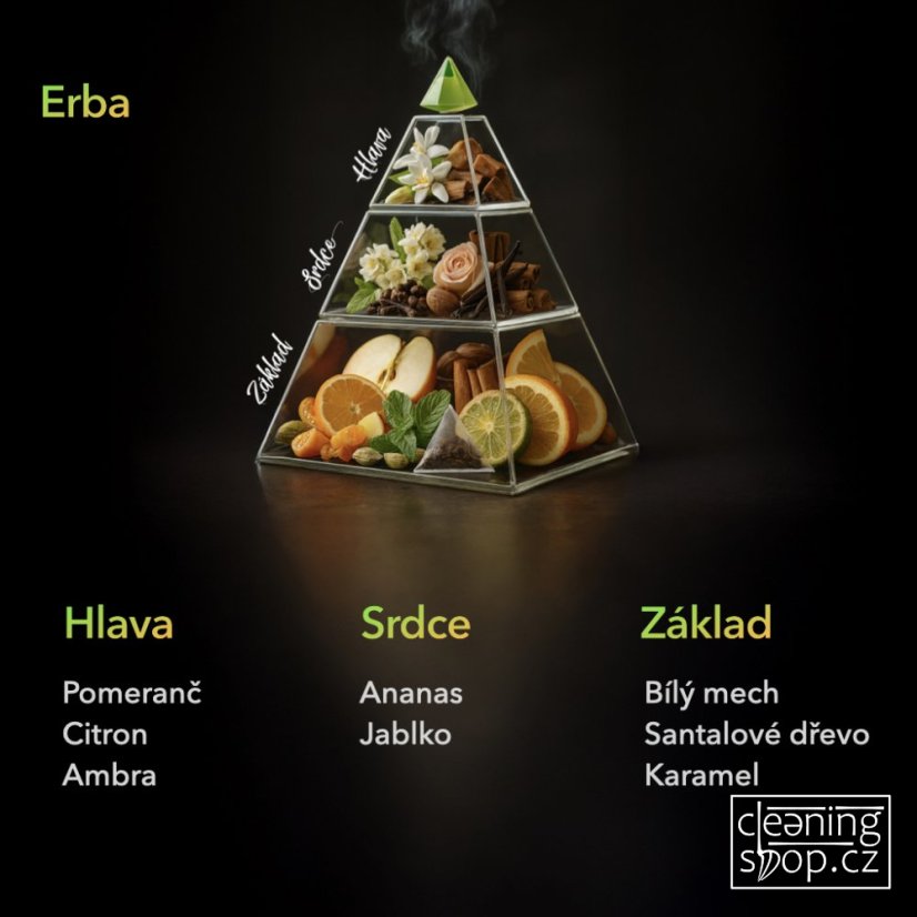 Tyčinkový difuzér ERBA MIKADO 100 ml - Barva: Černá