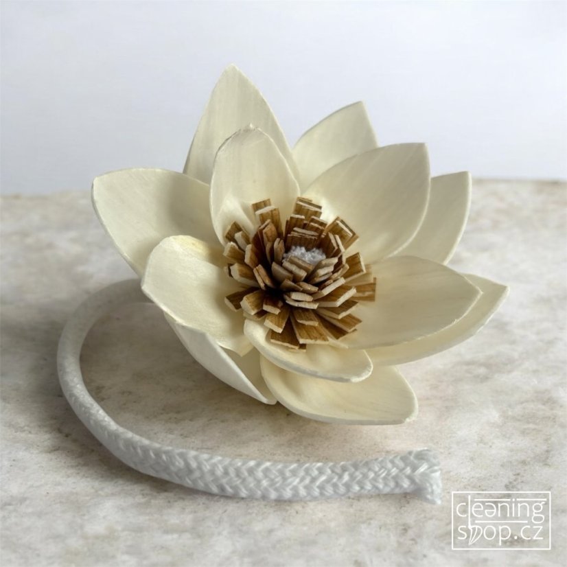 Difuzérový květ SOLA s knotem 7 cm - Twinkle