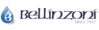BELLINZONI SRL