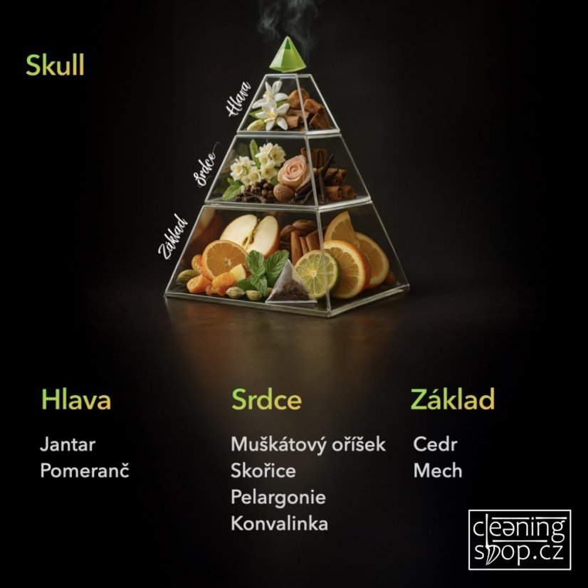 Tyčinkový difuzér SKULL MIKADO 100 ml