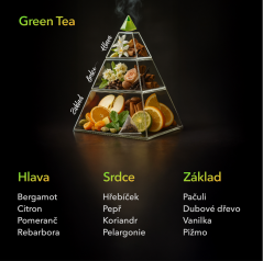 Tyčinkový difuzér Green Tea MIKADO 100 ml