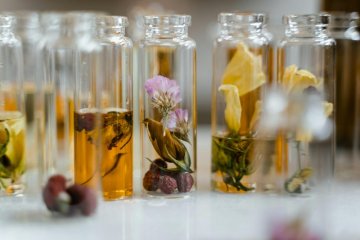 Vonné tóny v interiérových parfémech: Slovník ingrediencí a esencí
